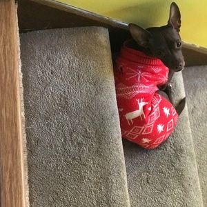 Meet your Posher, Sang